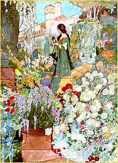 Charles Robinson - The Sensitive Plant