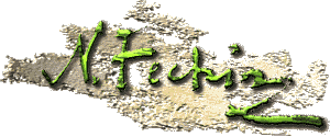 Nicholai Fechin - signature