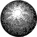 Virgil Finlay - white to black