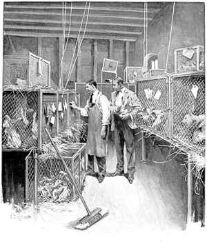 Arthur I. Keller - Harpers 1897