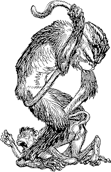 Heinrich Kley - Monkeys