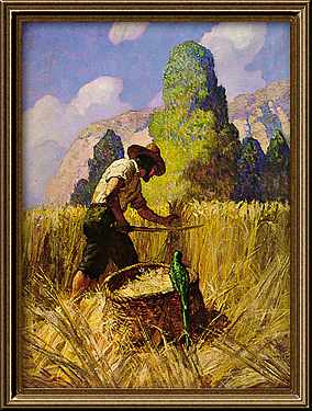 N.C. Wyeth - Robinson Crusoe