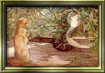 Edward Julius Detmold - The Jungle Book
