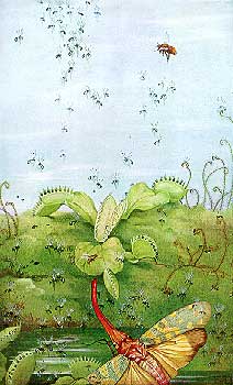 Edward Julius Detmold - Hours of Gladness