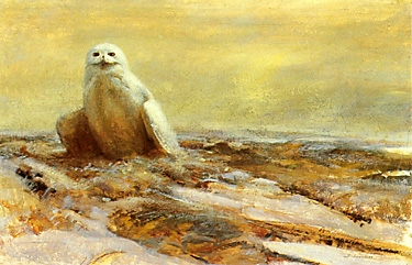 Oil painting of a snowy owl.