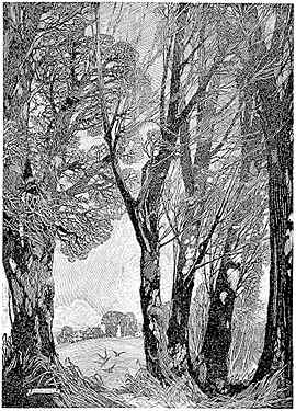 Franklin Booth - Good Housekeeping poem