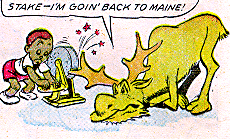 Walt Kelly - Human in Pogo