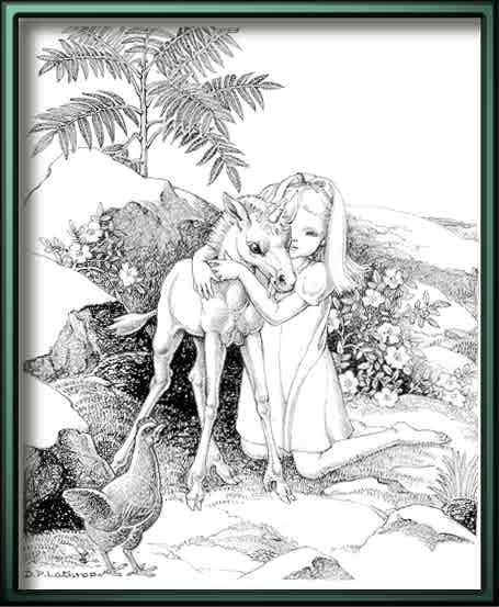 Dorothy Lathrop - The Colt From Moon Mountain